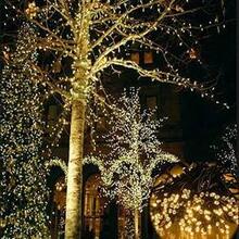 Firefly Solar Mini Led Christmas Lights On String