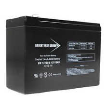 Bright Way Group Bwg 12100-s F2 Sealed Lead Acid Battery (pack Of 1 Ea)